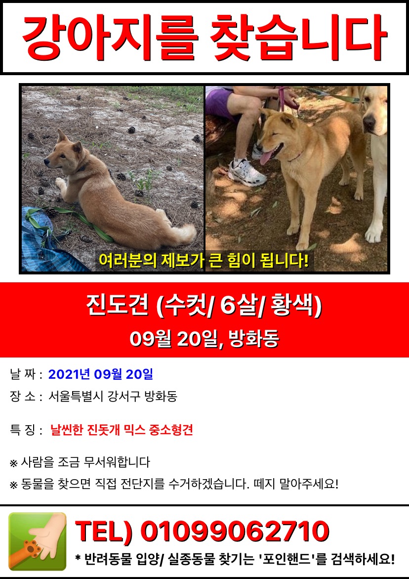 유기견보호센터 강아지보호소 고양이보호소 - 펫찾기 14번째 사진