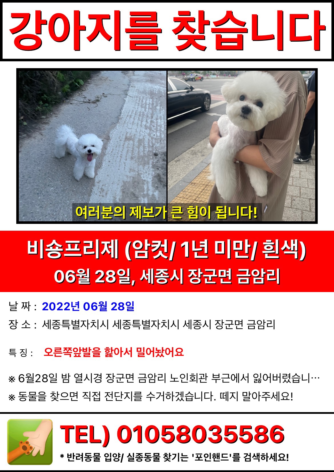 유기견보호센터 강아지보호소 고양이보호소 - 펫찾기 18번째 사진