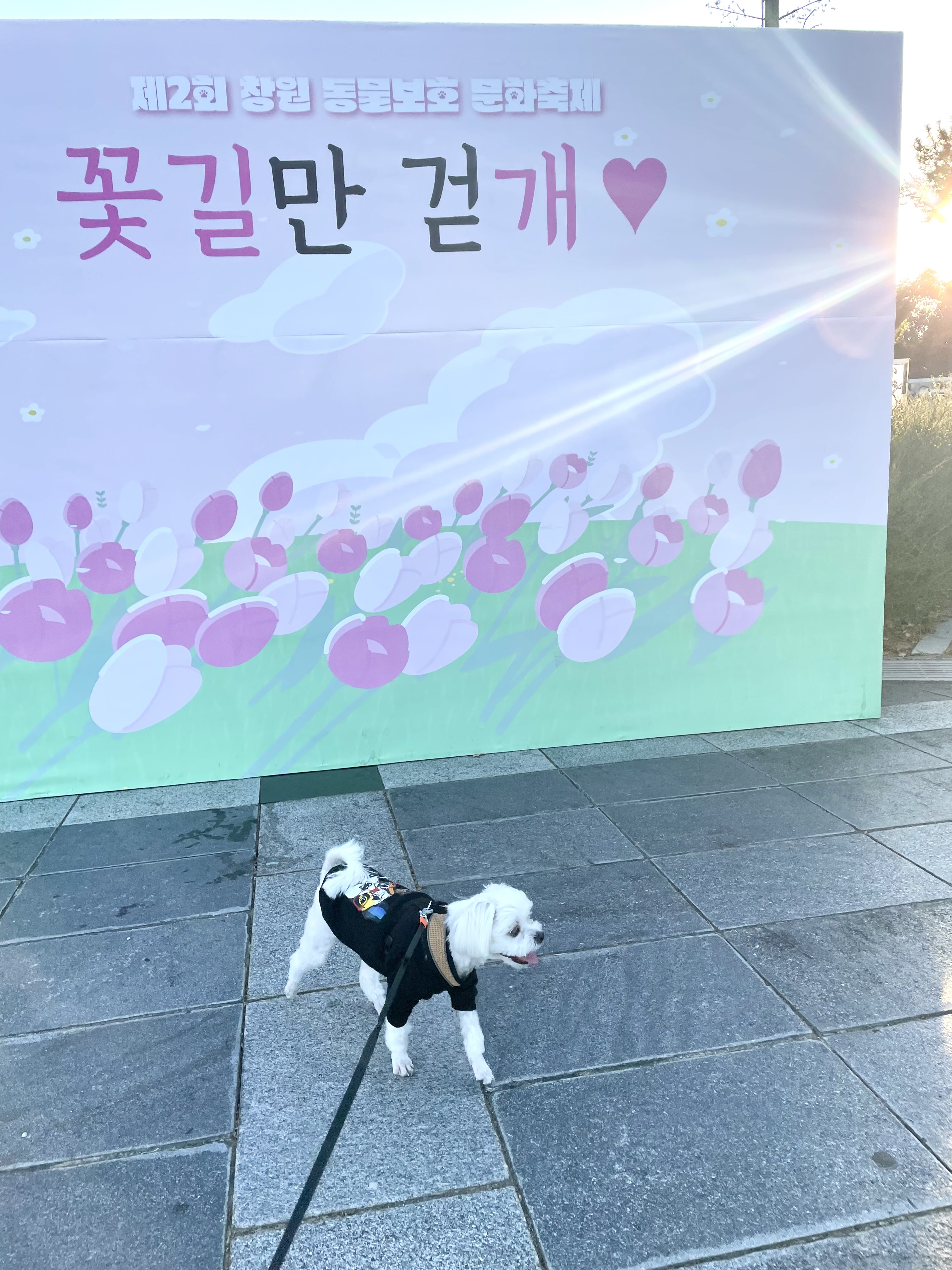 유기견보호센터 강아지보호소 고양이보호소 - 펫찾기 14번째 사진