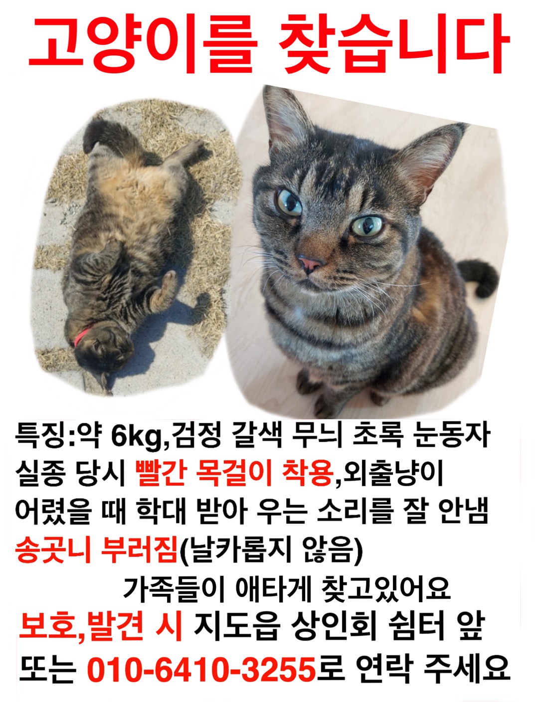 유기견보호센터 강아지보호소 고양이보호소 - 펫찾기 8번째 사진