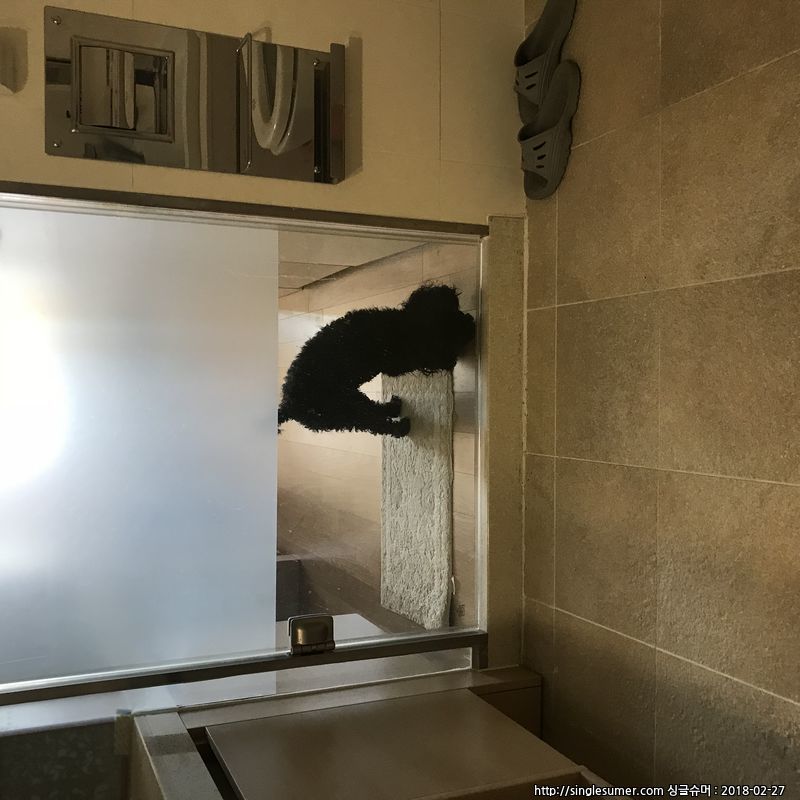 유기견보호센터 강아지보호소 고양이보호소 - 펫찾기 30번째 사진