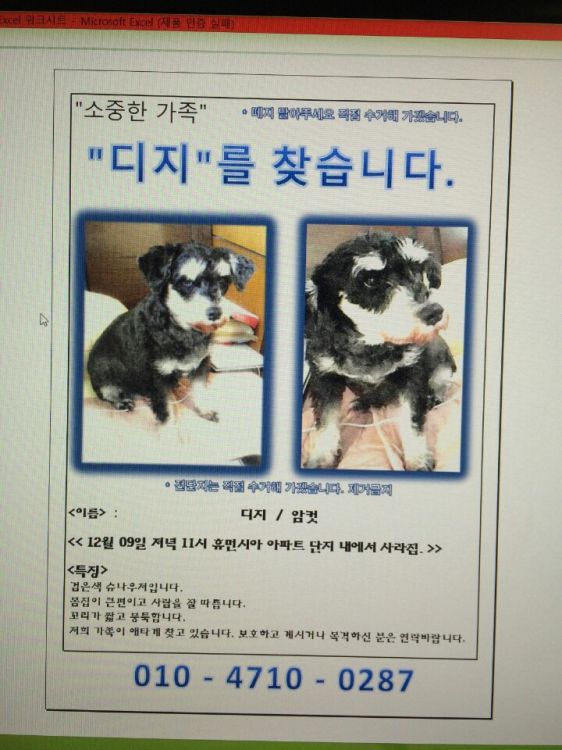 유기견보호센터 강아지보호소 고양이보호소 - 펫찾기 23번째 사진