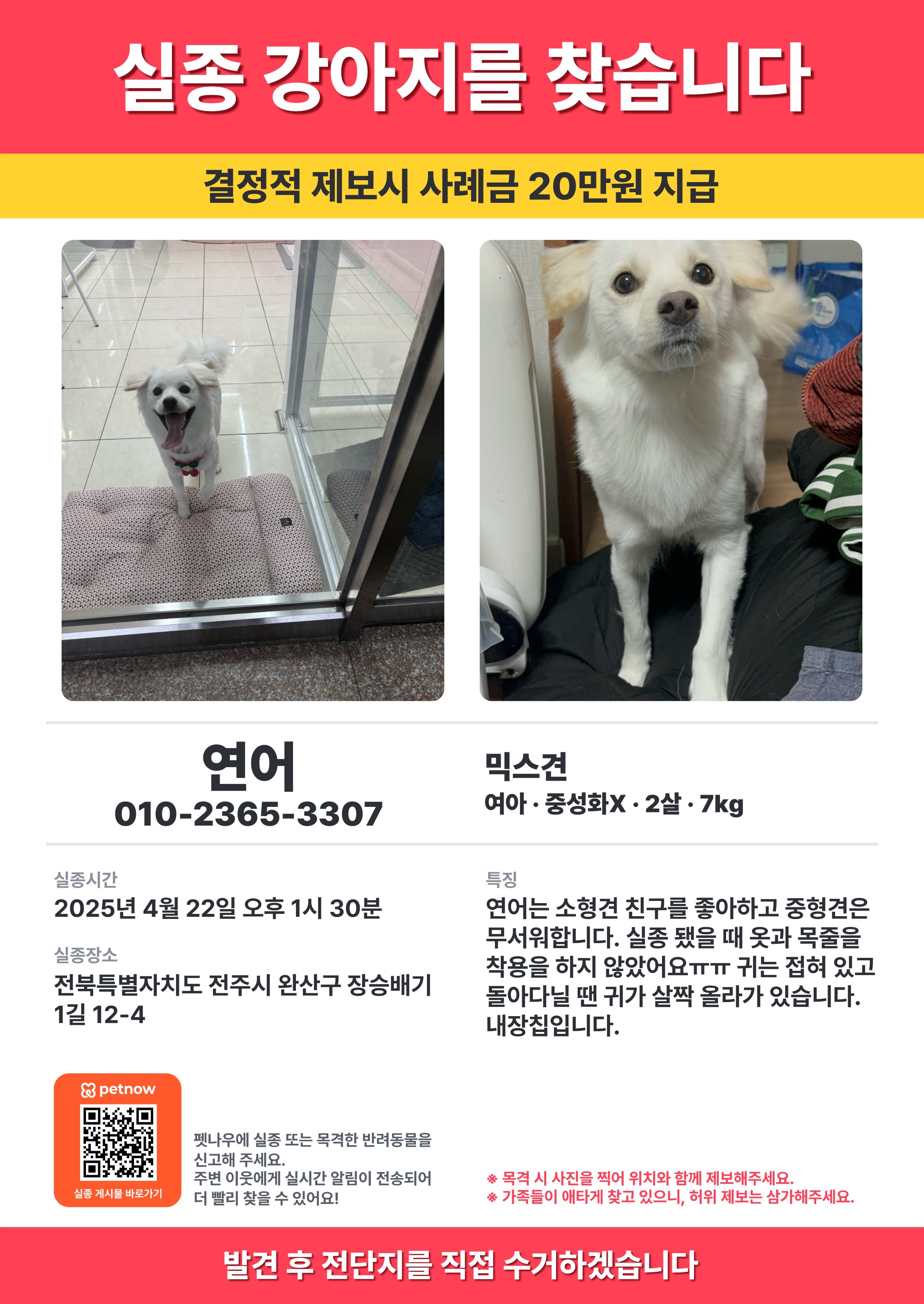 유기견보호센터 강아지보호소 고양이보호소 - 펫찾기 4번째 사진