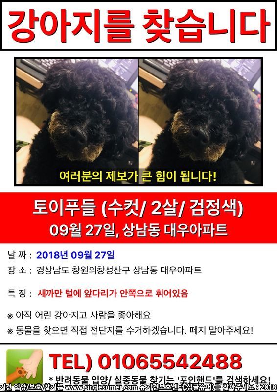 유기견보호센터 강아지보호소 고양이보호소 - 펫찾기 13번째 사진