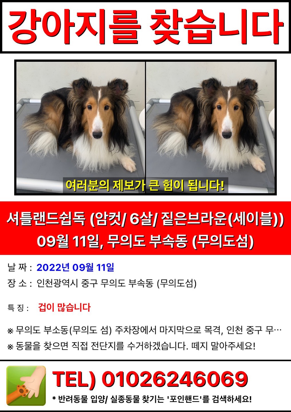 유기견보호센터 강아지보호소 고양이보호소 - 펫찾기 12번째 사진