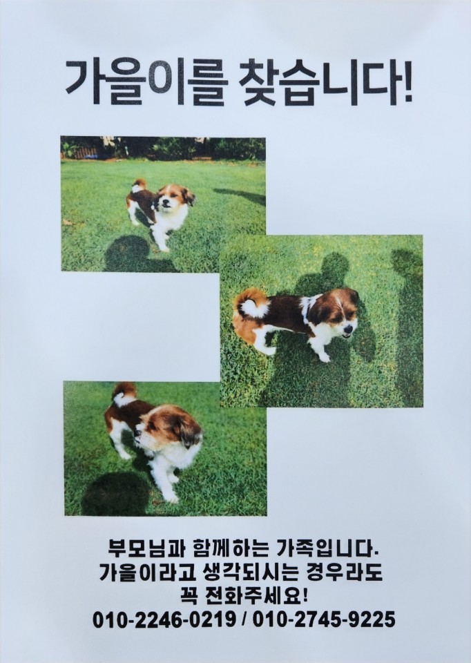 유기견보호센터 강아지보호소 고양이보호소 - 펫찾기 26번째 사진