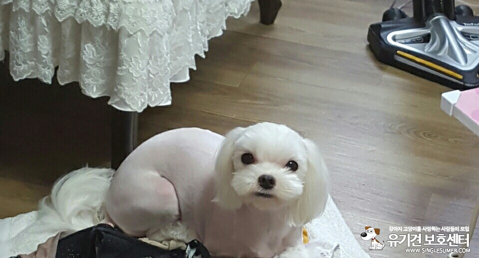 KakaoTalk_20150929_004408609.jpg