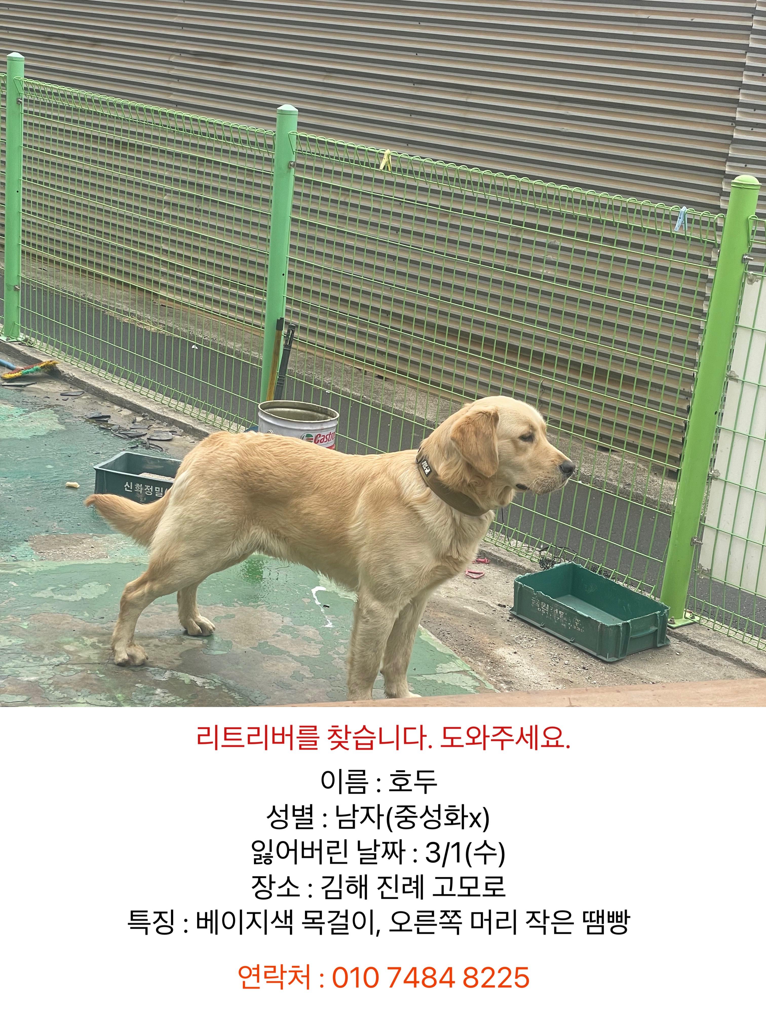 F34A4B2F-01B1-481E-A270-BDECDB5CA77A.jpeg.jpg