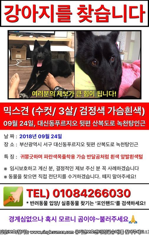 유기견보호센터 강아지보호소 고양이보호소 - 펫찾기 8번째 사진