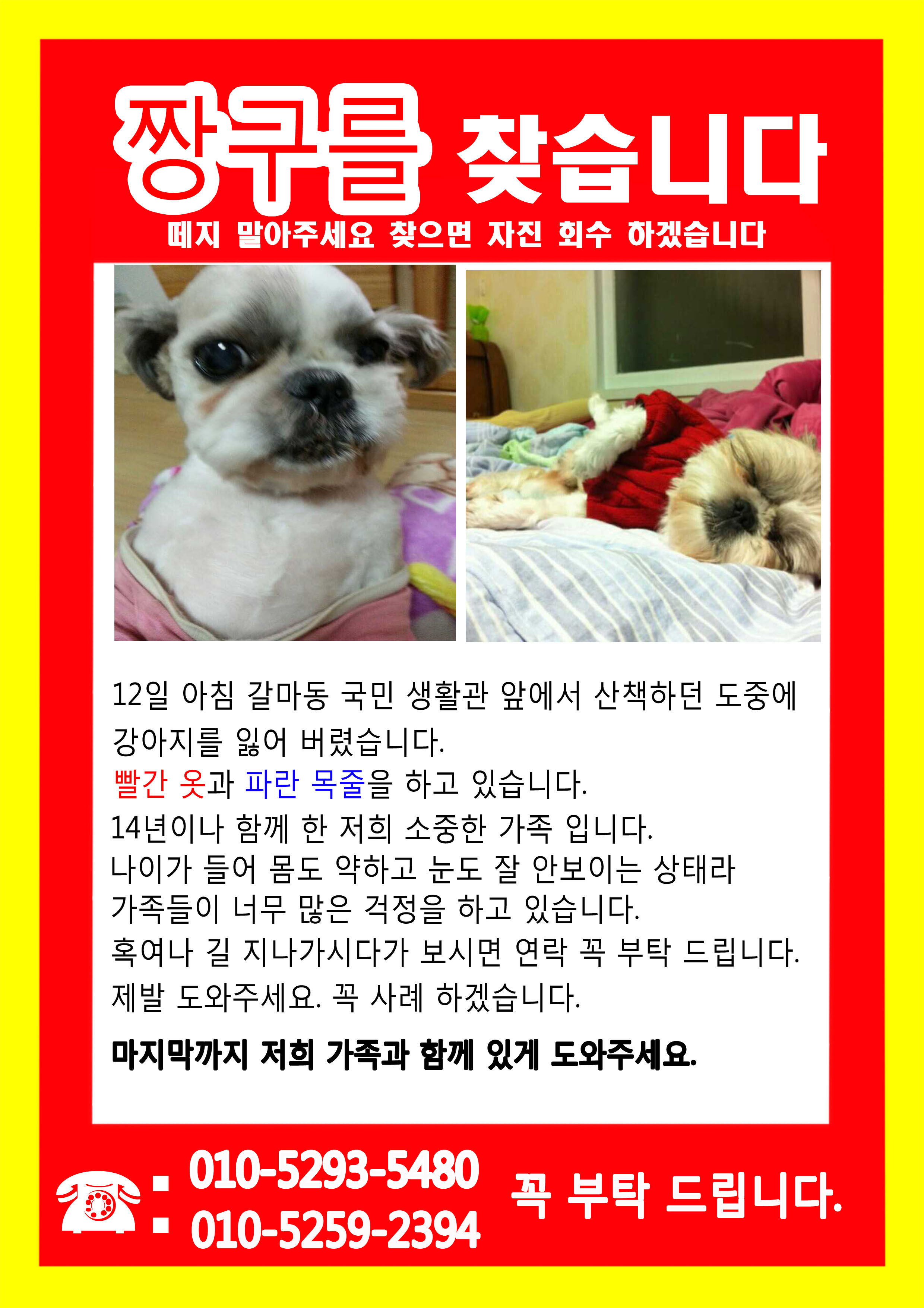 소중한 저의 가족을 찾아주세요 - 강아지 찾아요 - 유기견 보호 센터 - 이미지 1