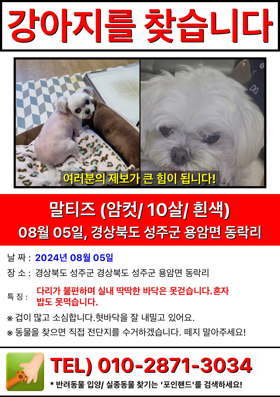 유기견보호센터 강아지보호소 고양이보호소 - 펫찾기 22번째 사진