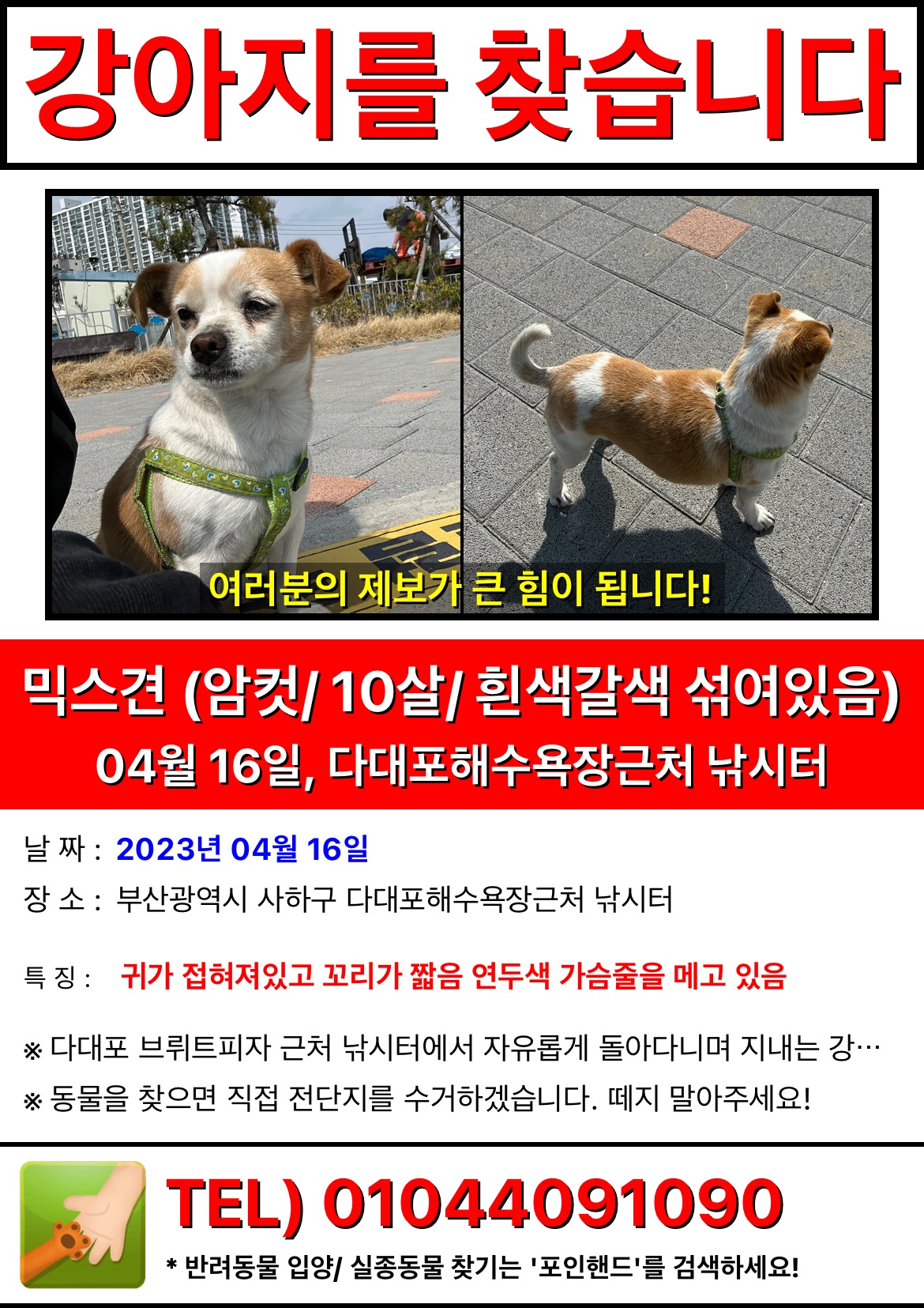 유기견보호센터 강아지보호소 고양이보호소 - 펫찾기 15번째 사진