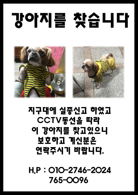 유기견보호센터 강아지보호소 고양이보호소 - 펫찾기 17번째 사진