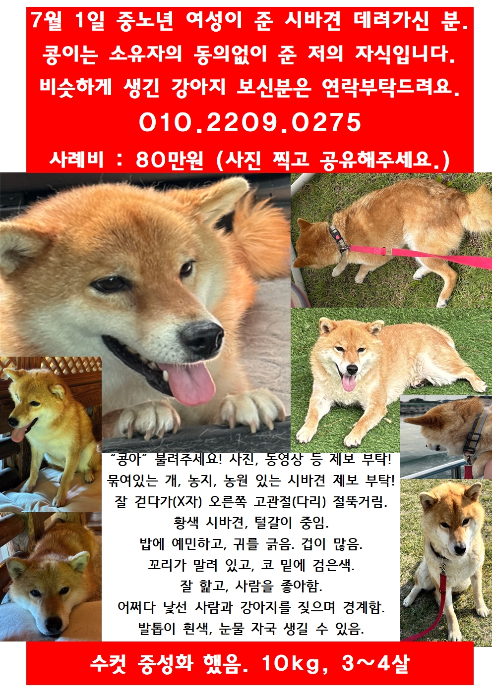 유기견보호센터 강아지보호소 고양이보호소 - 펫찾기 10번째 사진