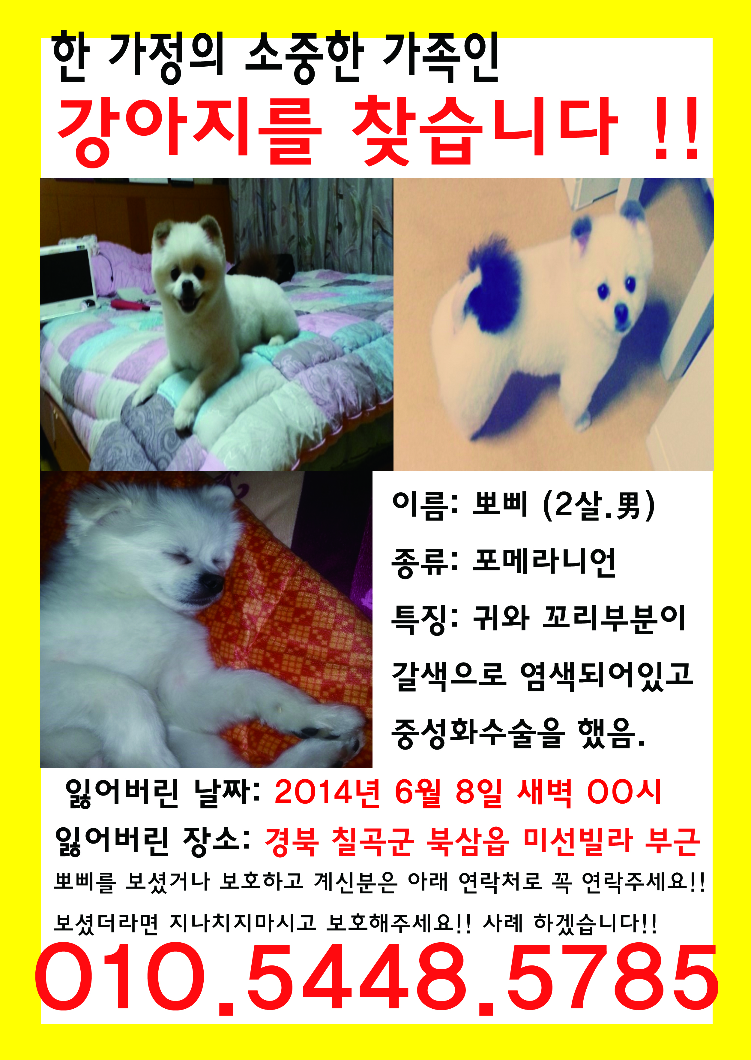 뽀삐를 찾습니다.도와주세요ㅠㅠ - 강아지 찾아요 - 유기견 보호 센터 - 이미지 1