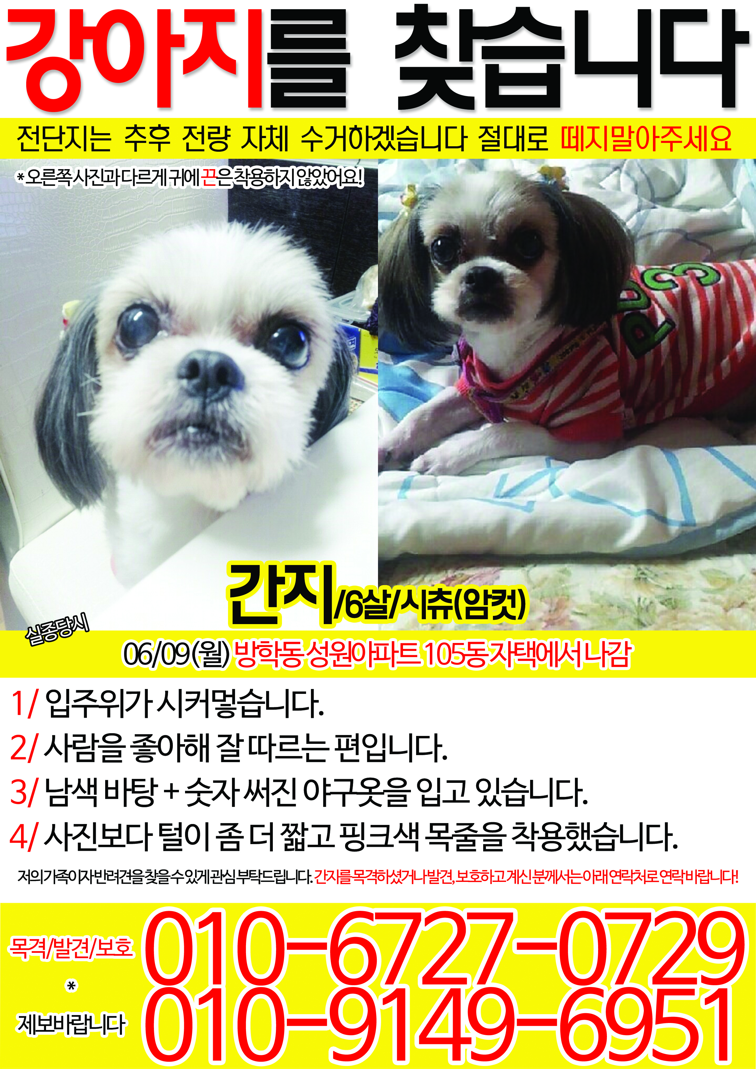 저희간지 찾아요 ㅠㅠㅠㅠㅠ 한번만 봐주세요 ㅠㅠ - 강아지 찾아요 - 유기견 보호 센터 - 이미지 1