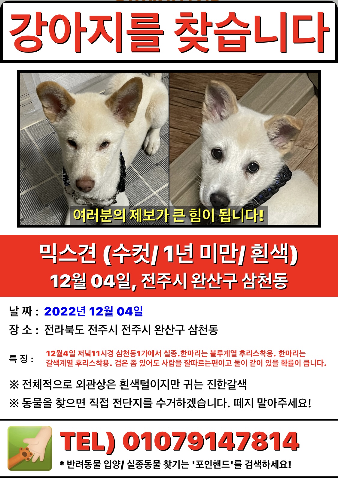 유기견보호센터 강아지보호소 고양이보호소 - 펫찾기 16번째 사진