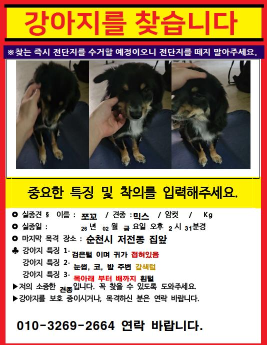 유기견보호센터 강아지보호소 고양이보호소 - 펫찾기 6번째 사진