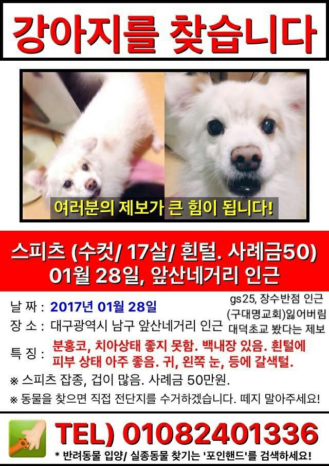유기견보호센터 강아지보호소 고양이보호소 - 펫찾기 7번째 사진
