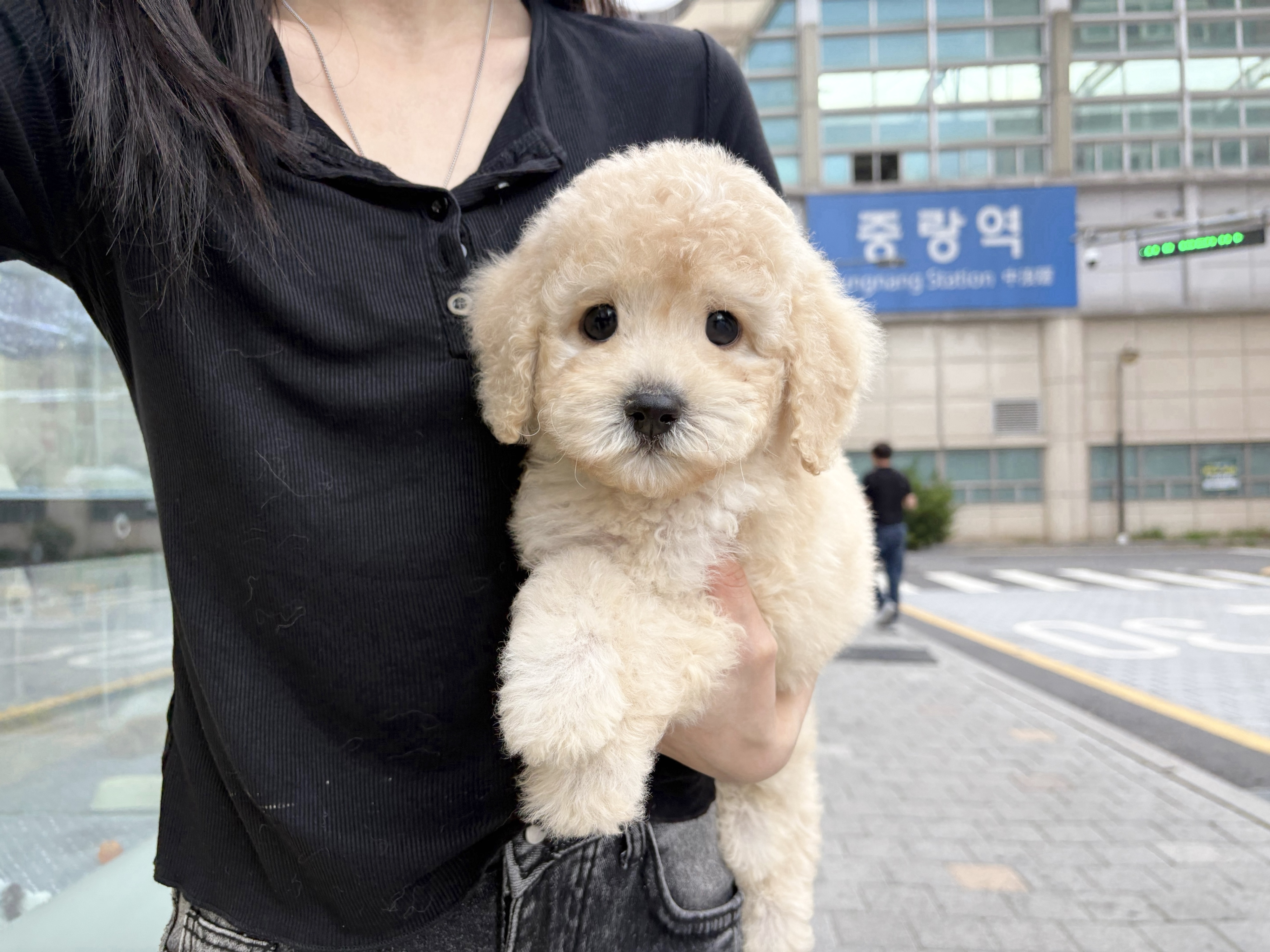 봉구.jpg