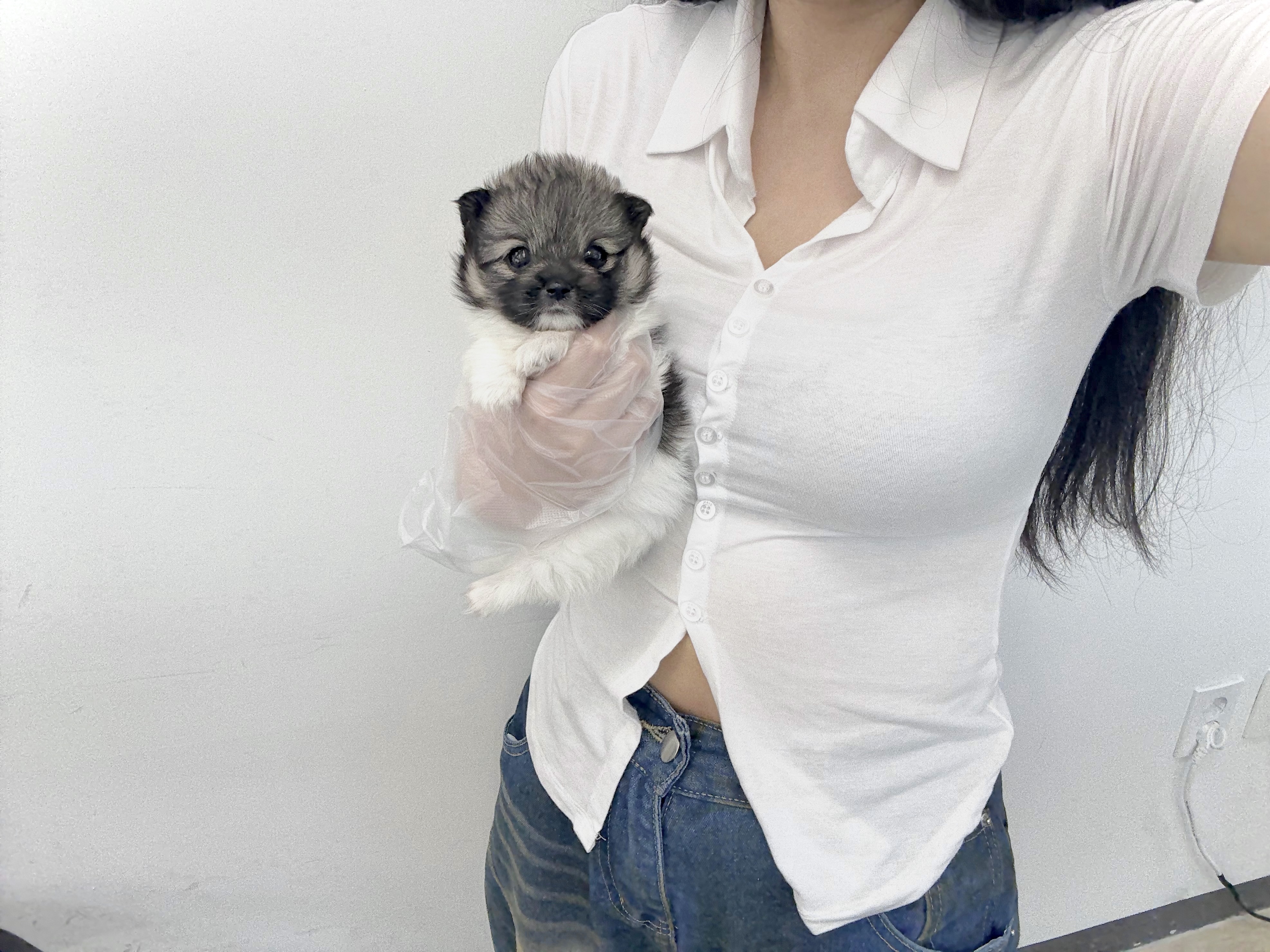 폼치 20.jpg
