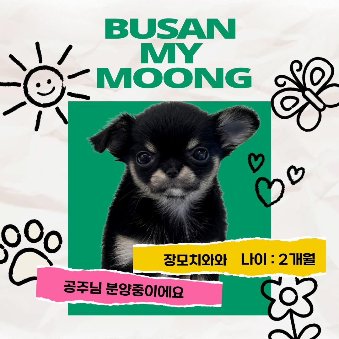제목을-입력해주세요_-001 (1).png.jpg