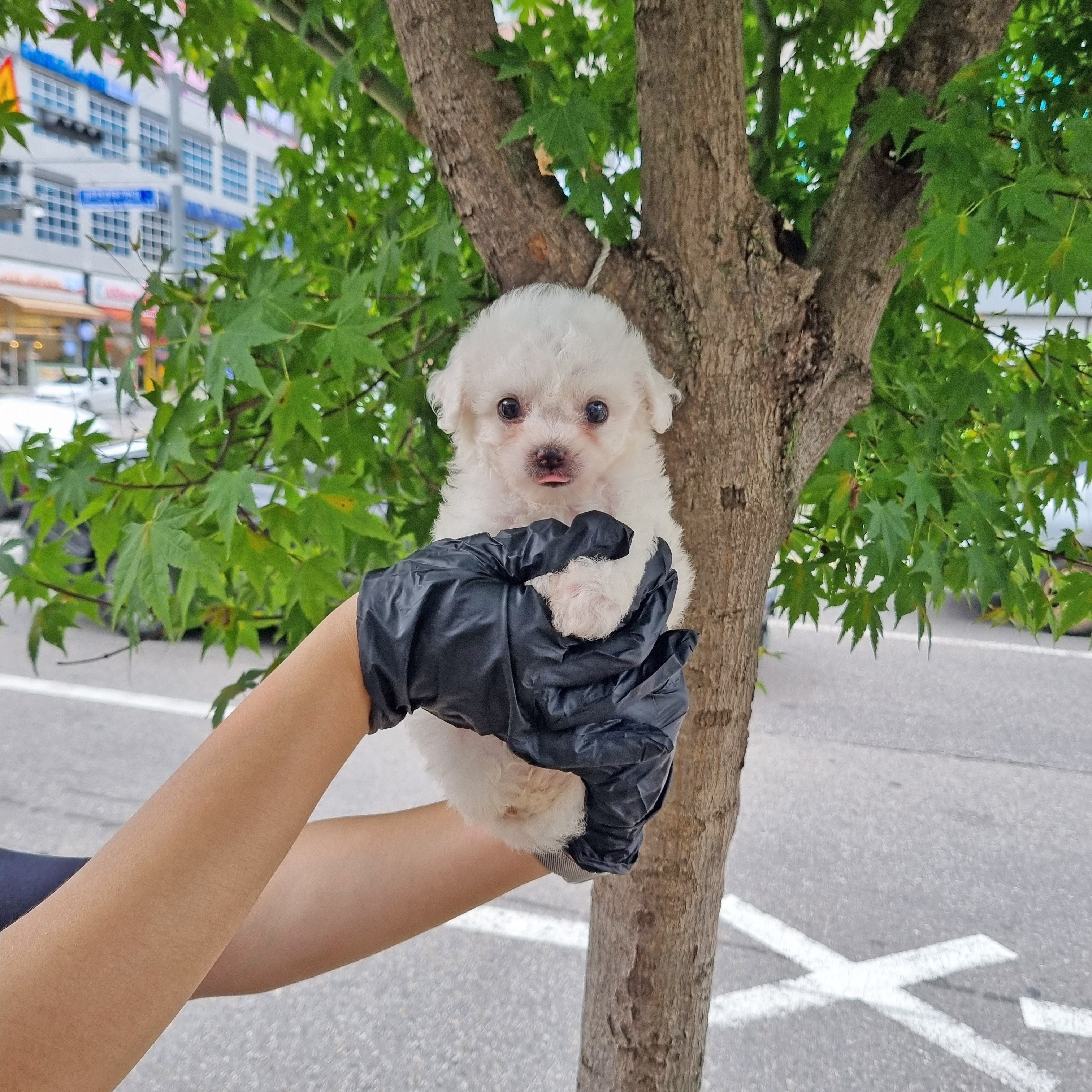 구름이.jpg