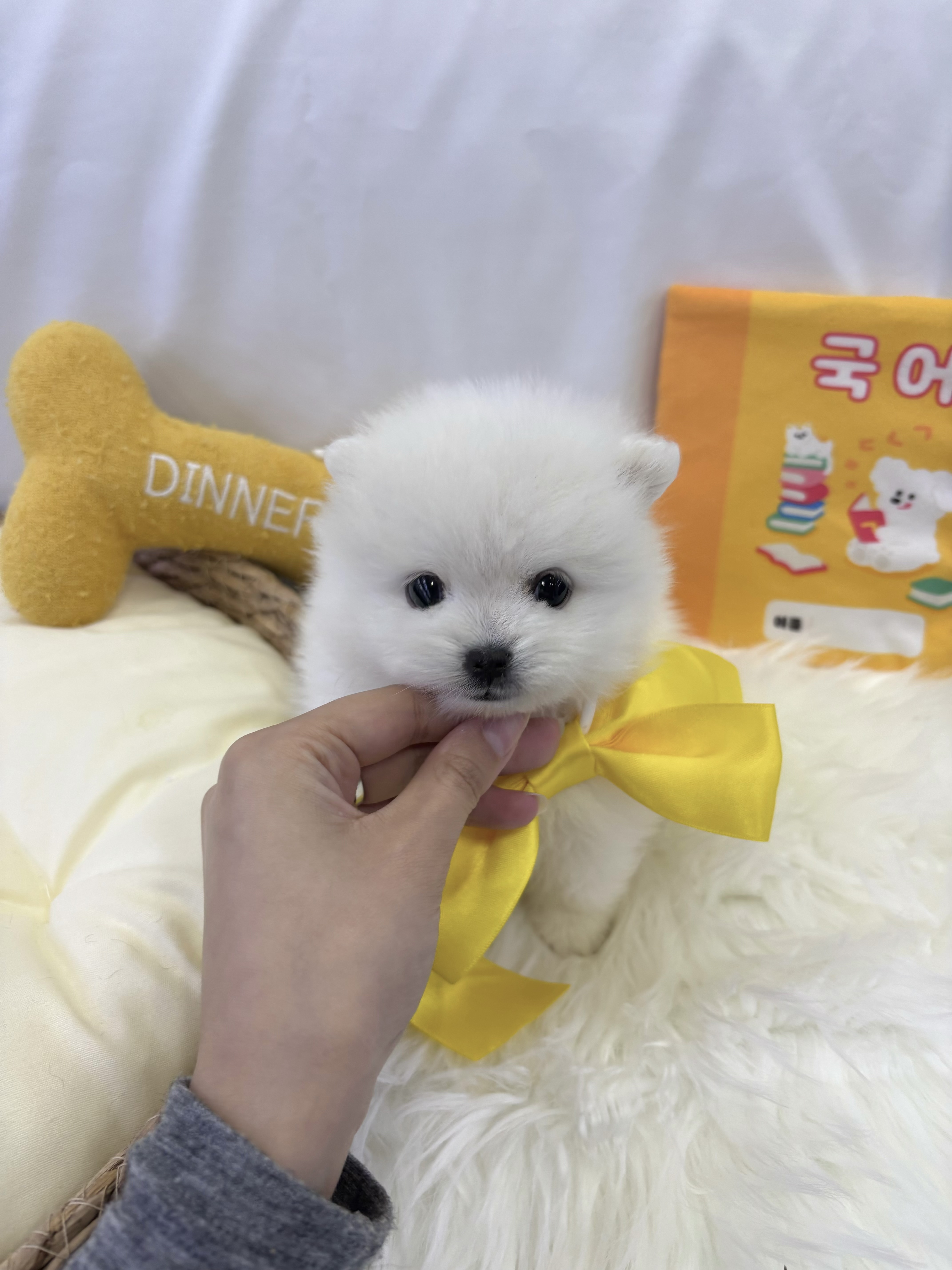 빼껌