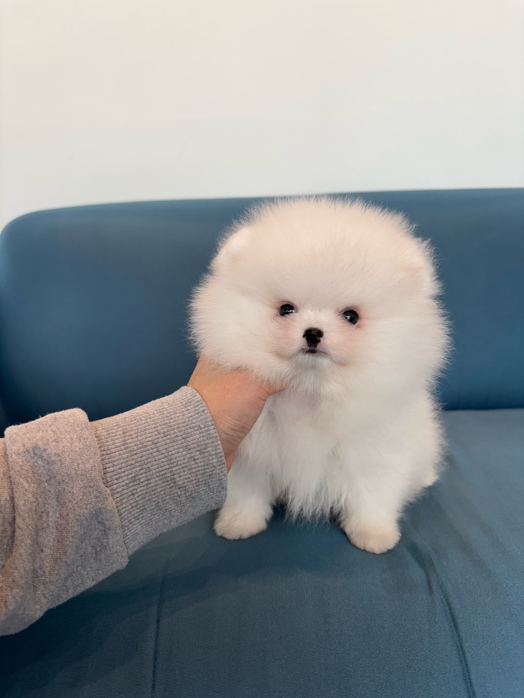YUTU.jpg