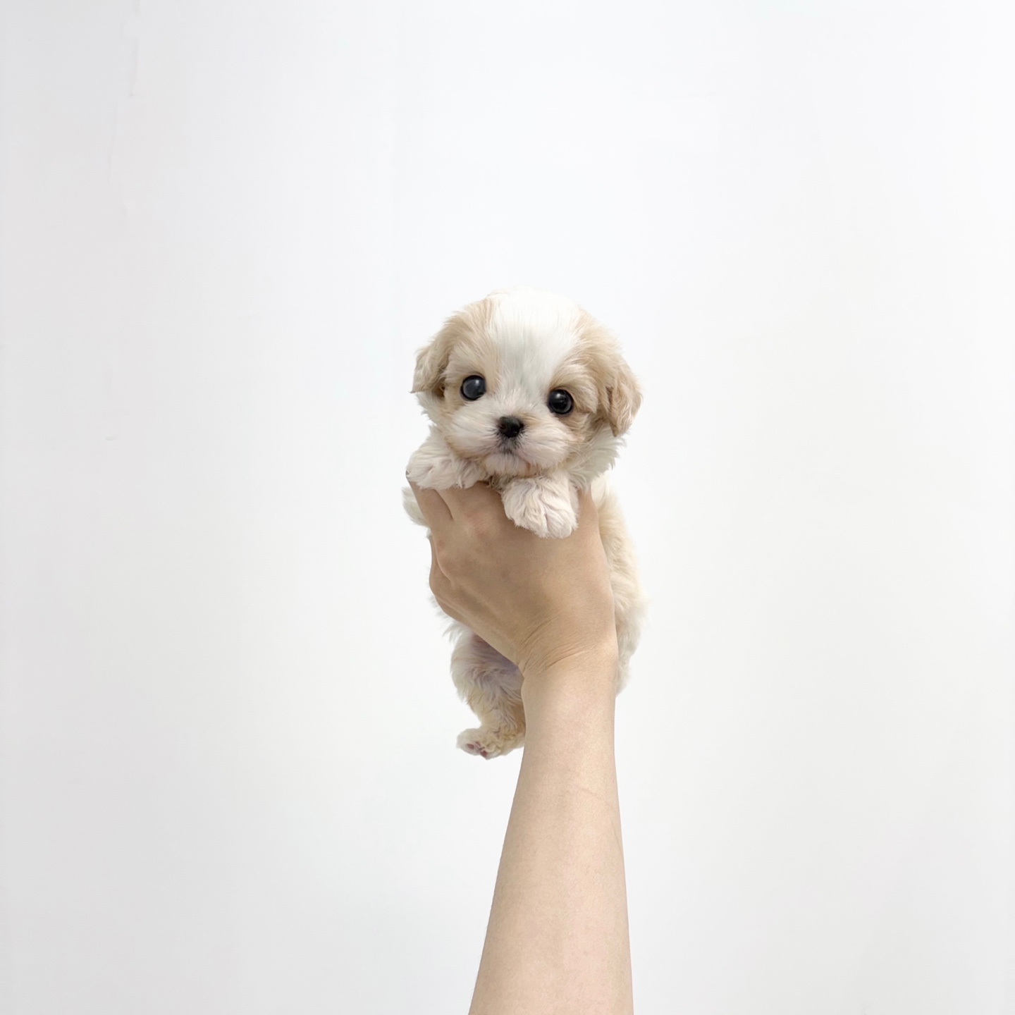 카바숑 40 (22)수.jpg