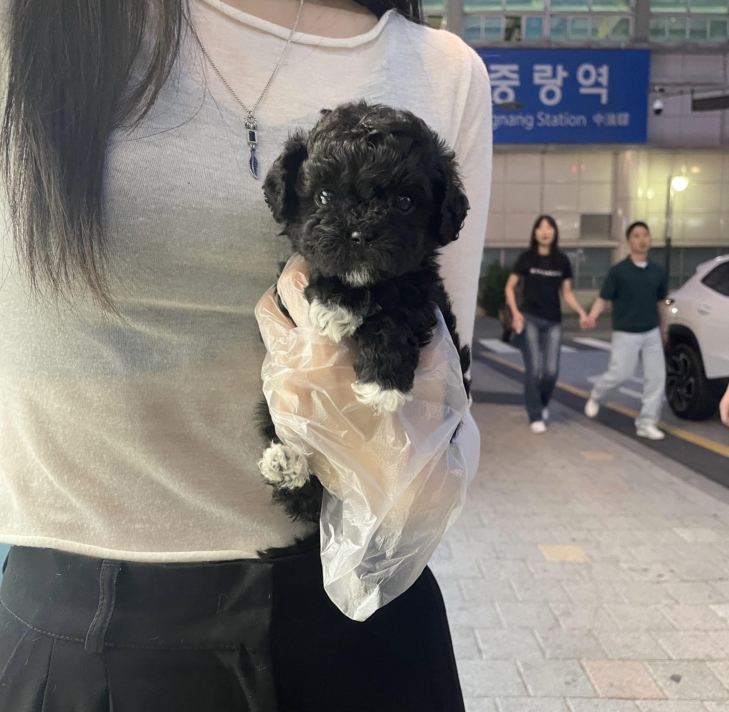 말푸블40.jpg
