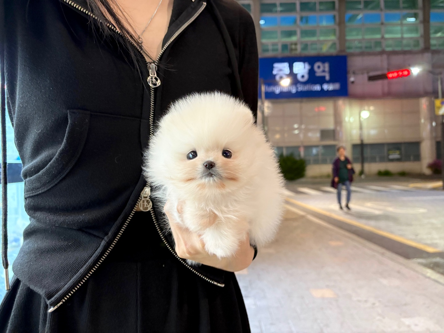 포메 50.jpg