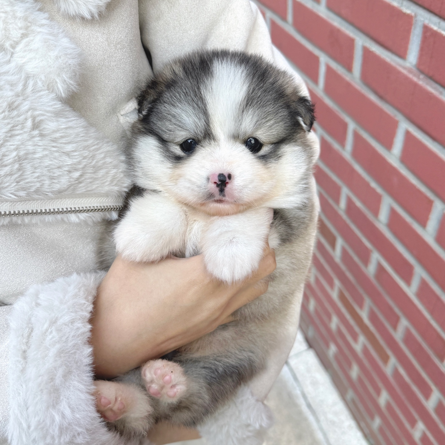 카페 폼스키3.jpg