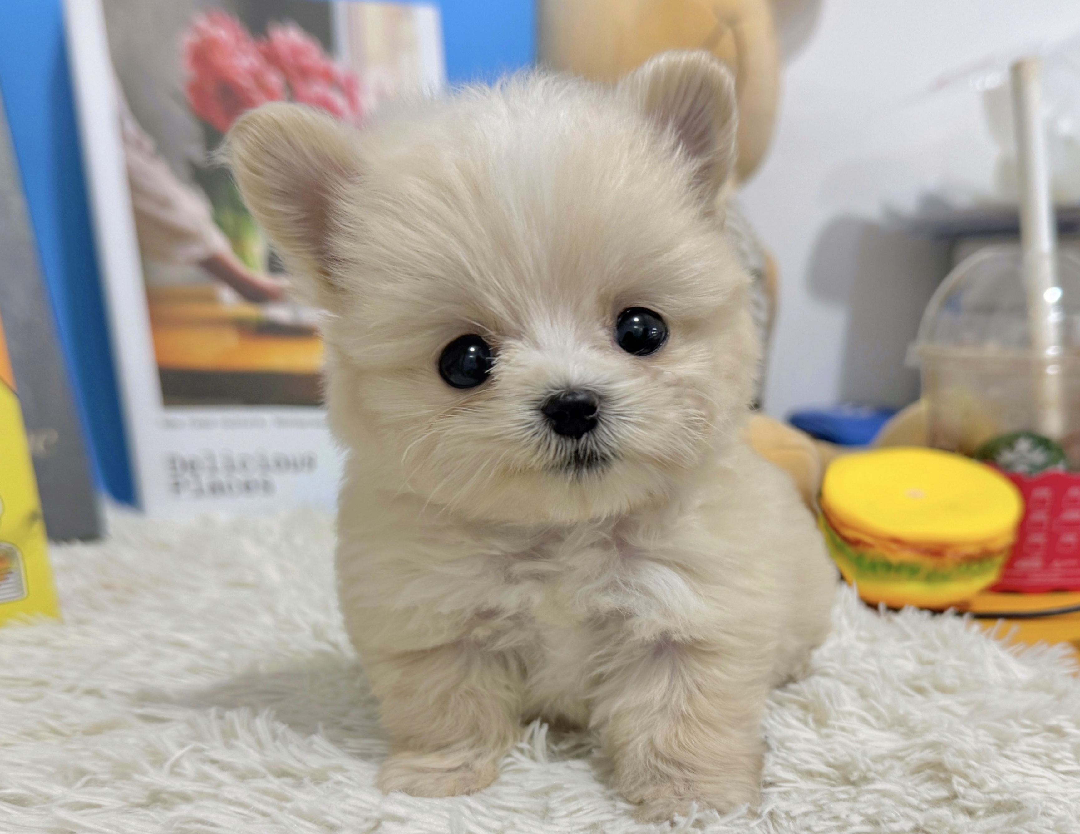 말투푸푸 (3).jpg