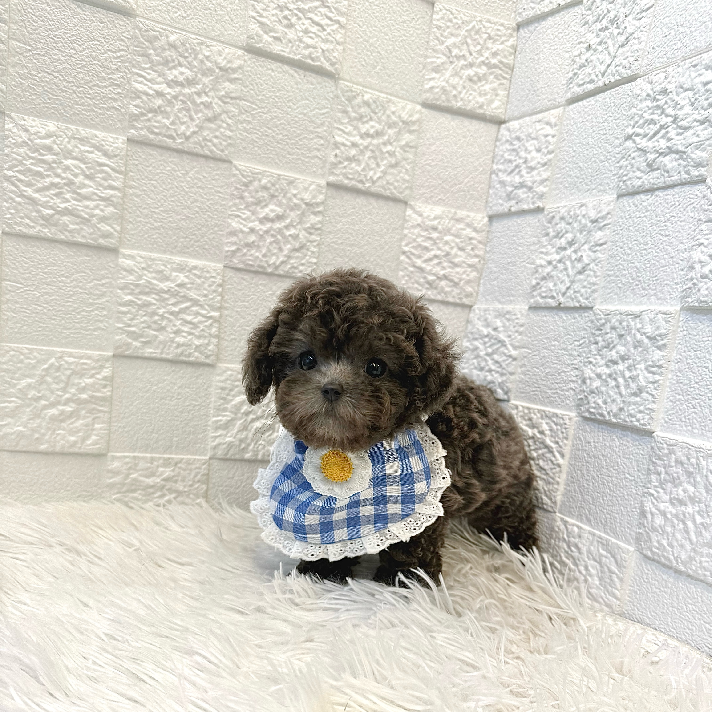 ㅇㄷㅎㄹ.jpg