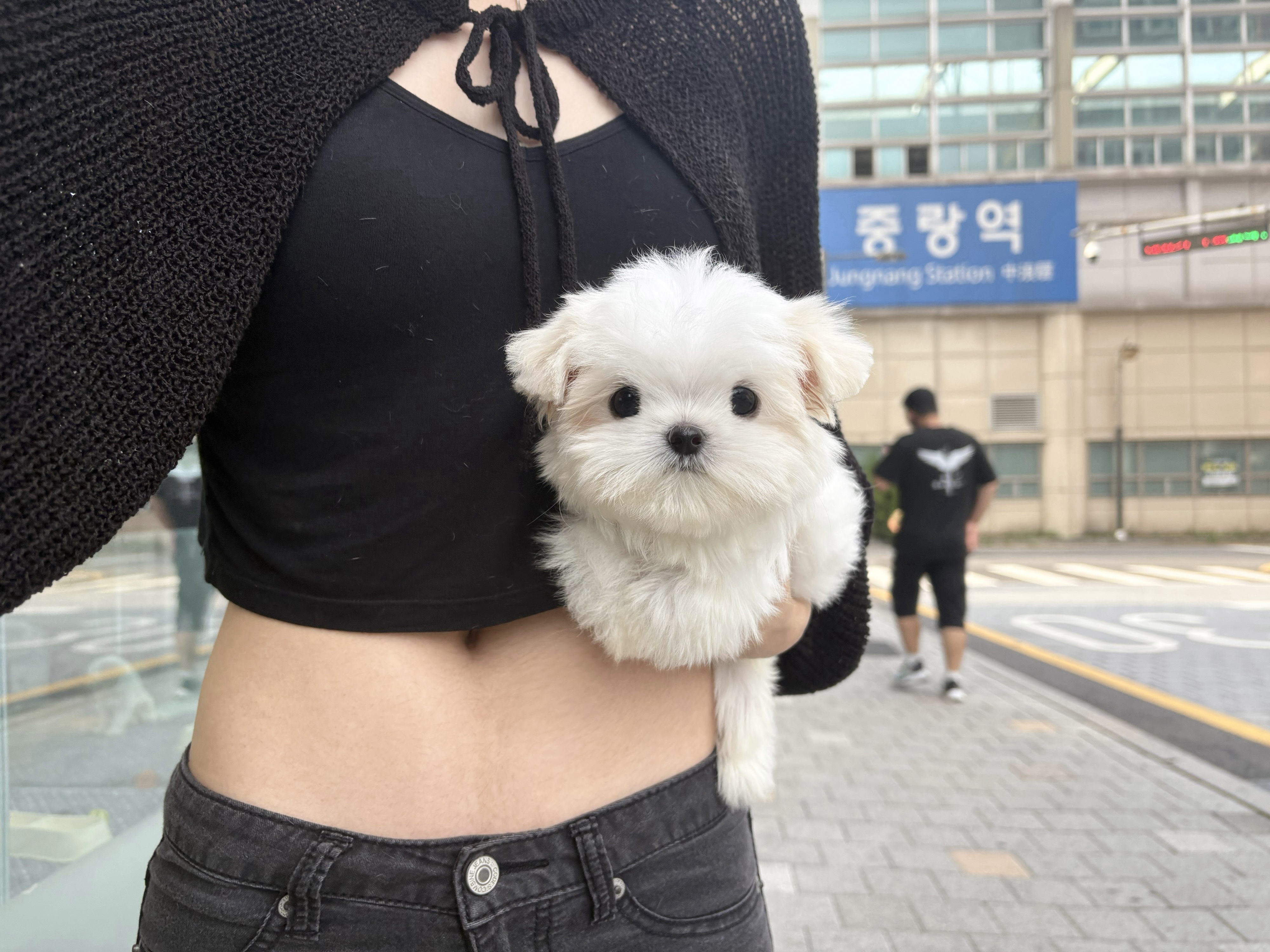 말티 30.jpg
