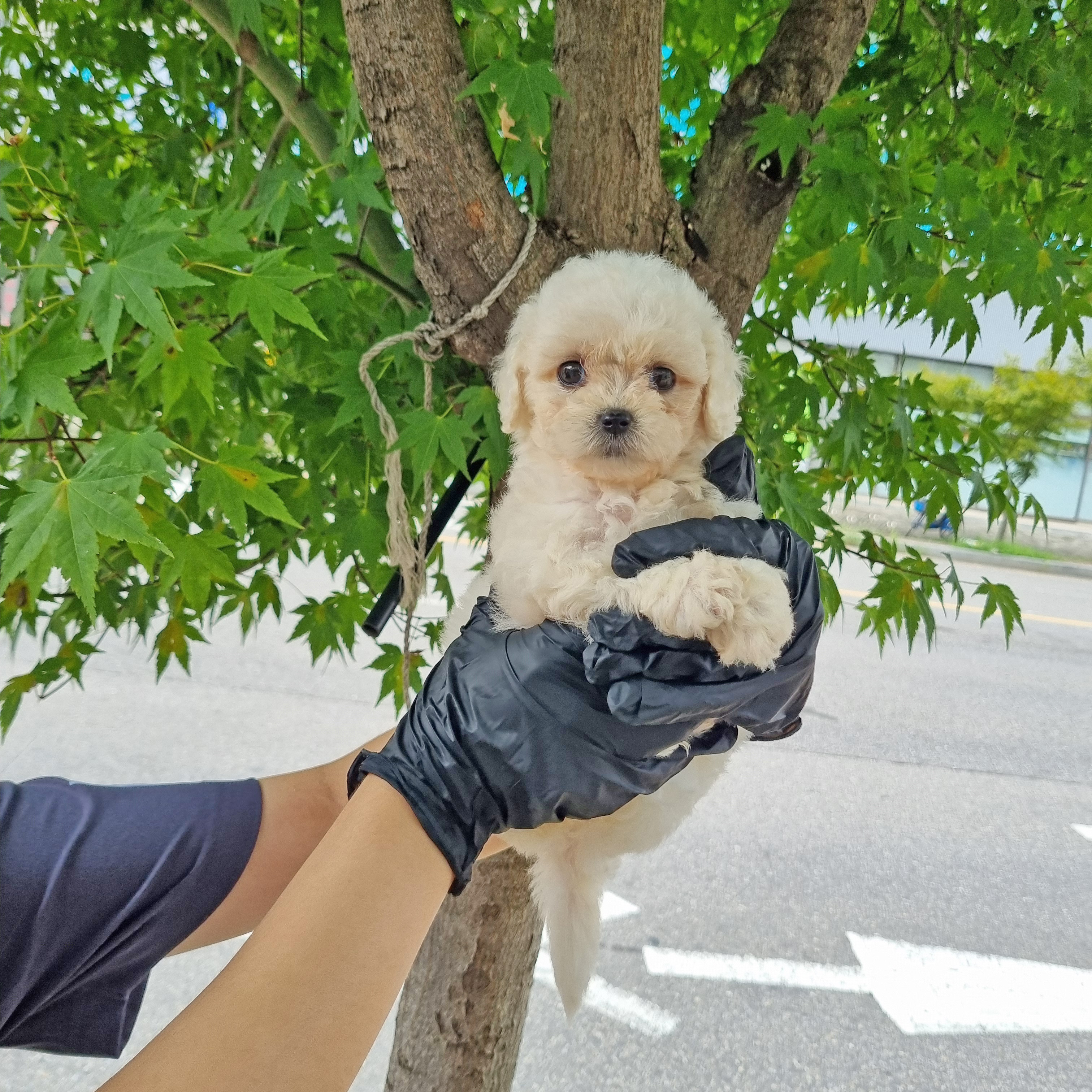 예리.jpg