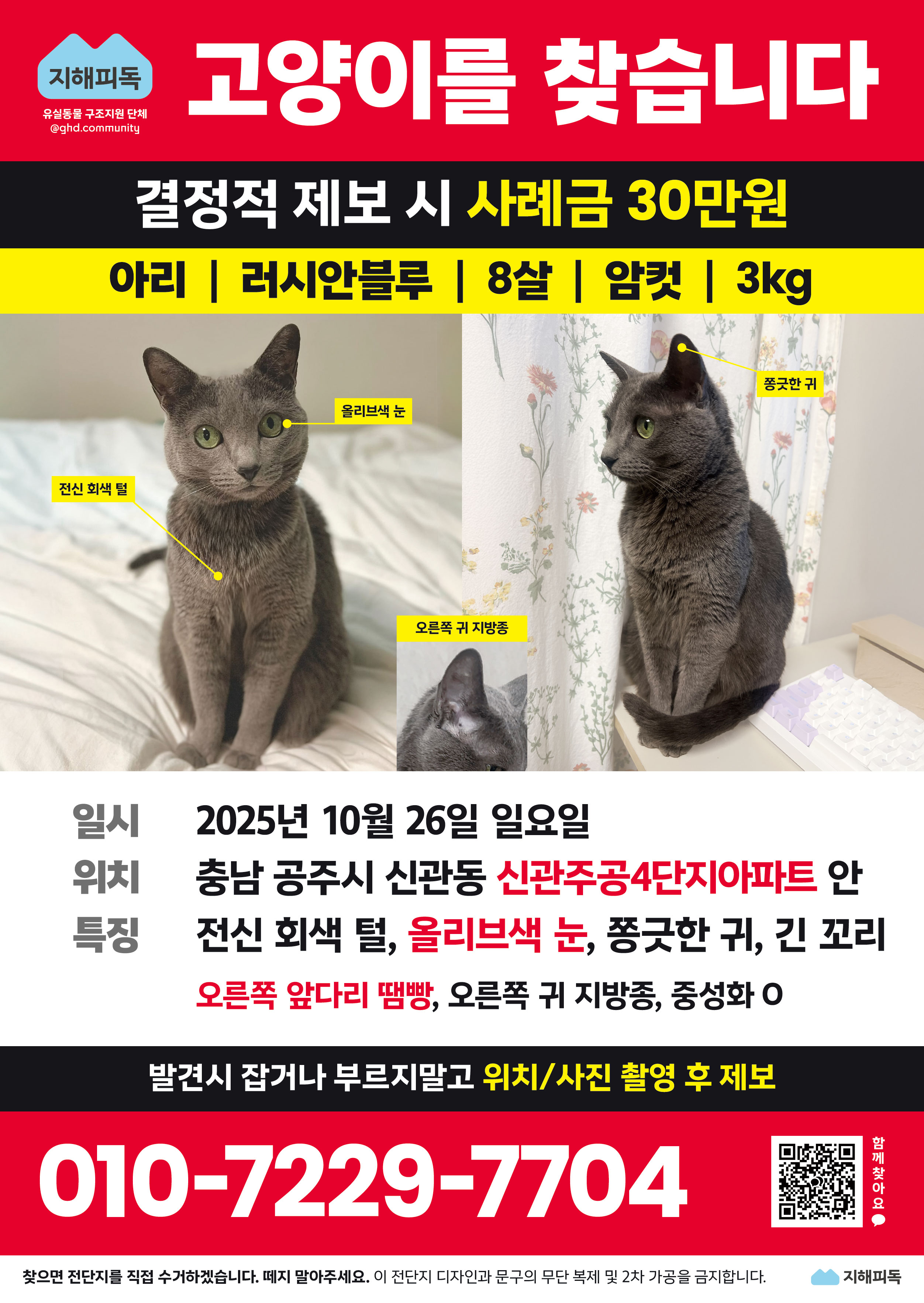 아리 전단지.jpg