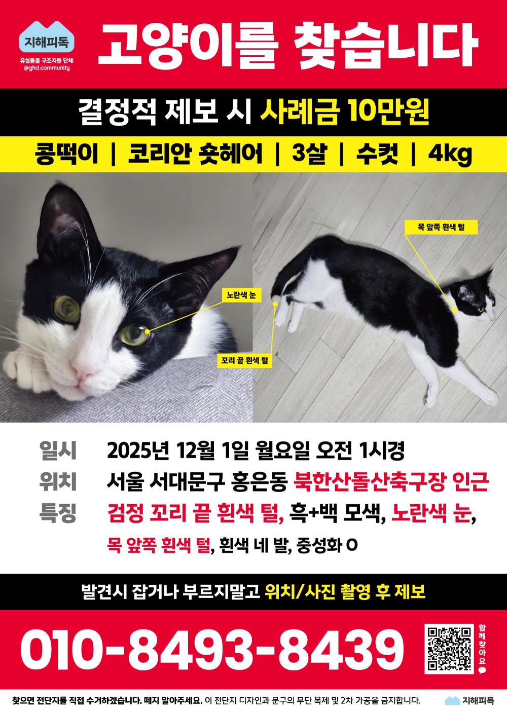 콩떡이 전단지.png.jpg