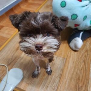 우유를 찾아주세요