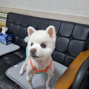 몽글이 찾았습니다