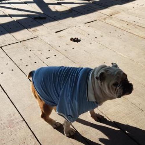 안성 금석동  찾아요