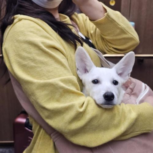 순딩그자체 5개월남아 아가, 따뜻한곳으로가길 기다리고있어요♡