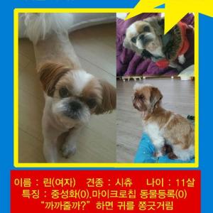 대성리에서 잃어버렸습니다