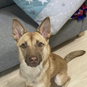 우리 애기 찾아요