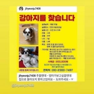 우리아이를애타게찾고있어요