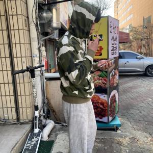 햄스터 분양합니다