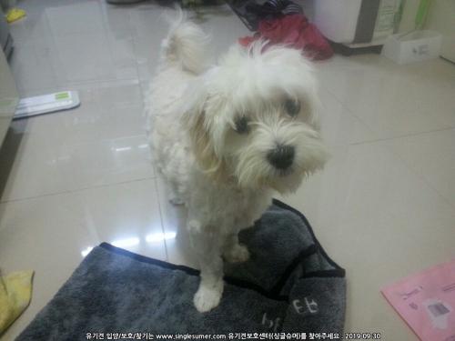 강서화곡동말티남아