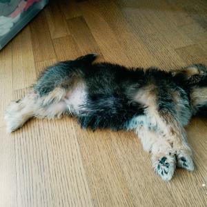 제발꼭!봐주세요