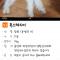 폭스테리어찾습니다 사례금100